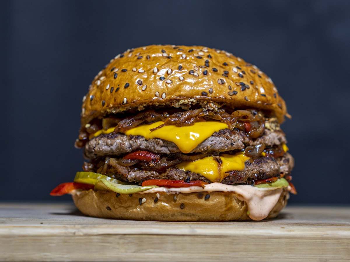 X-burger artesanal